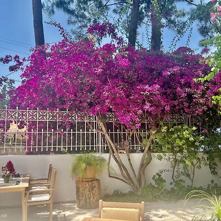 Carikci Hotel Marmaris Luaran gambar