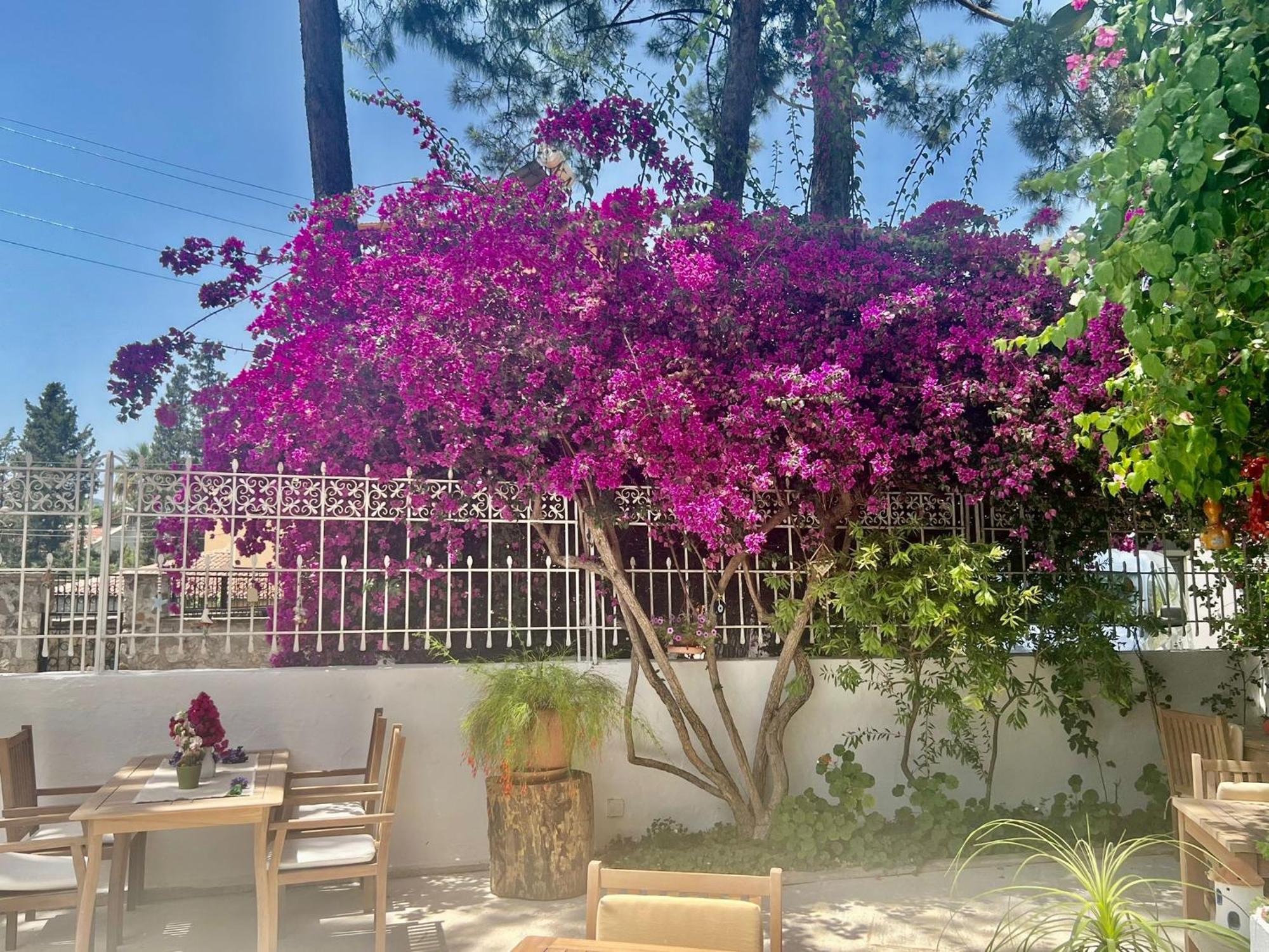 Carikci Hotel Marmaris Luaran gambar